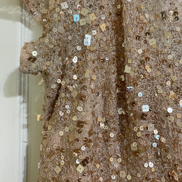 Adrianna Pappell dress - Picture 5 of 5